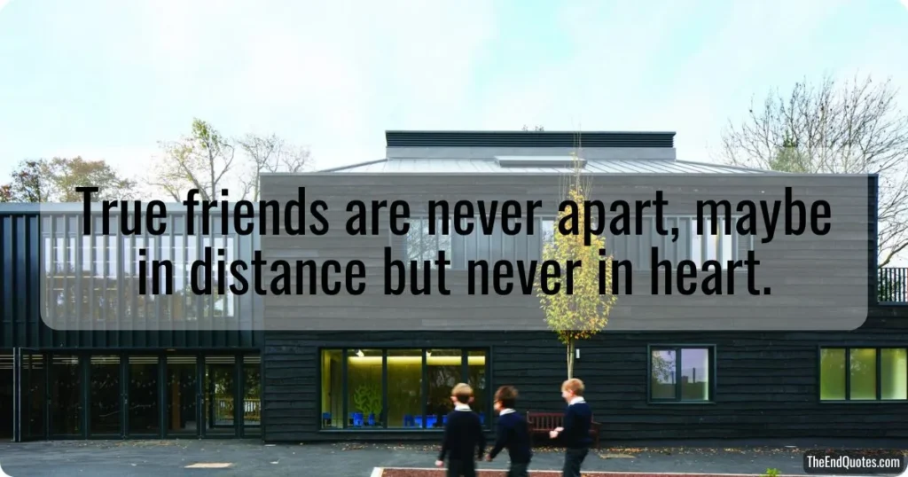 friendship-and-teamwork-quotes