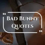 bad-bunny-quotes