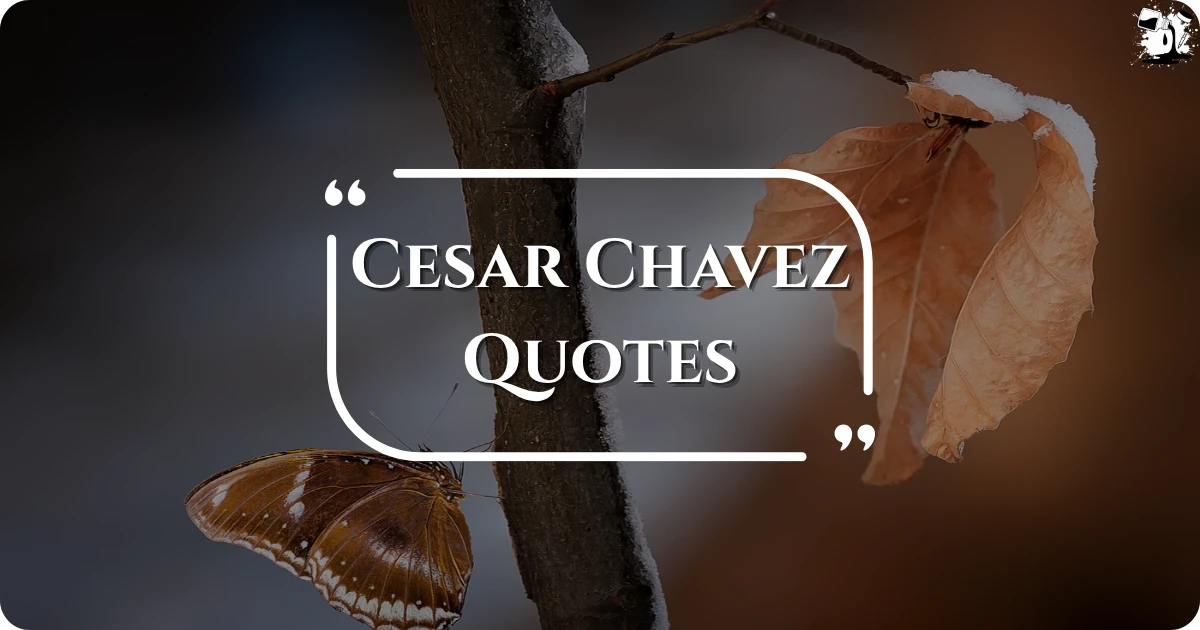cesar-chavez-quotes