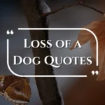 loss-of-dog-quotes