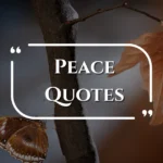 peace-quotes