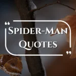 spider-man-quotes