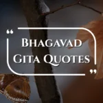bhagavad-gita-quotes