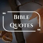 bible-quotes