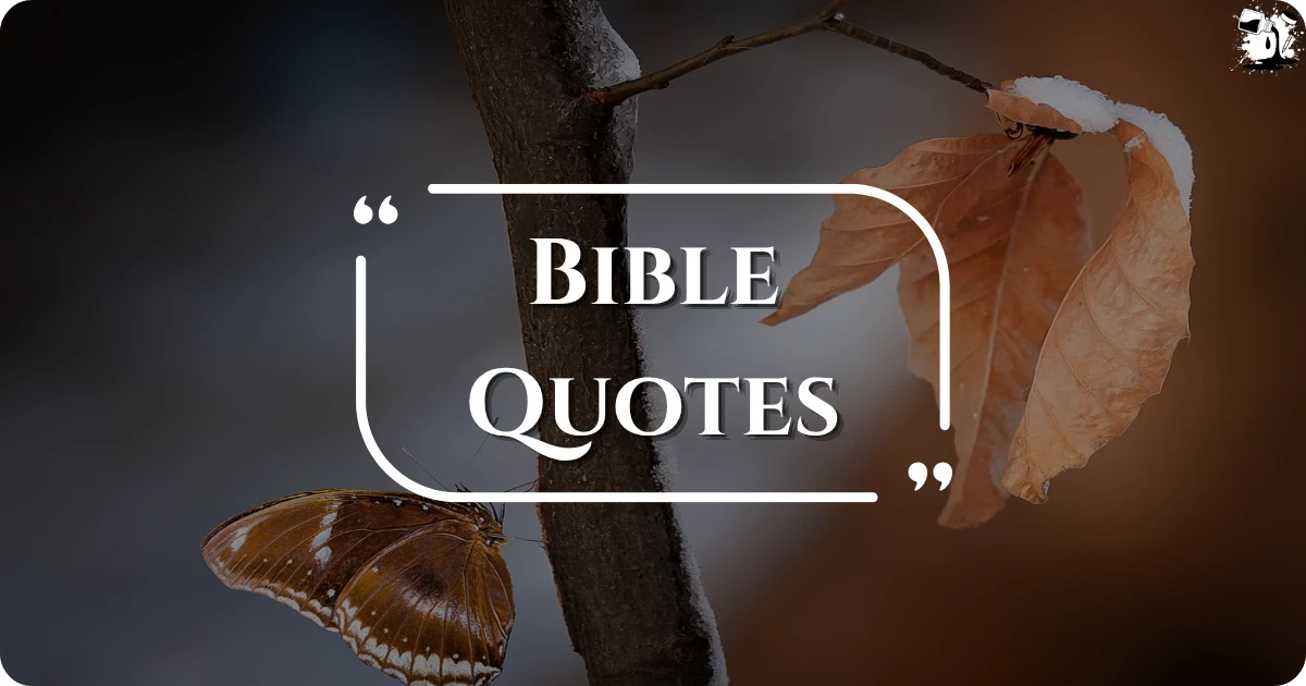 bible-quotes
