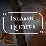 islamic-quotes