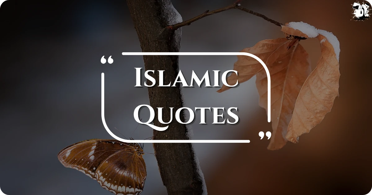 islamic-quotes