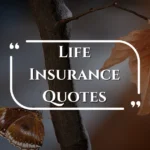 life-insurance-quotes