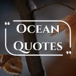 ocean-quotes