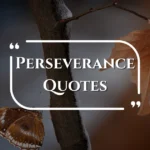 perseverance-quotes