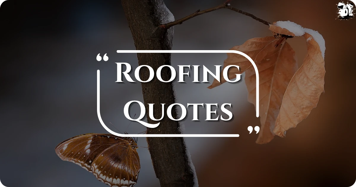 roofing-quotes