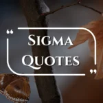 sigma-quotes