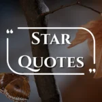 star-quotes