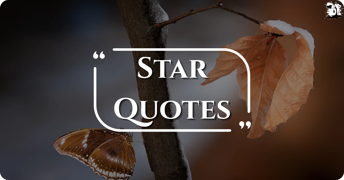 star-quotes