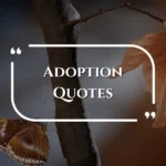 adoption-quotes
