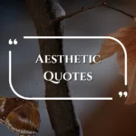 aesthetic-quotes