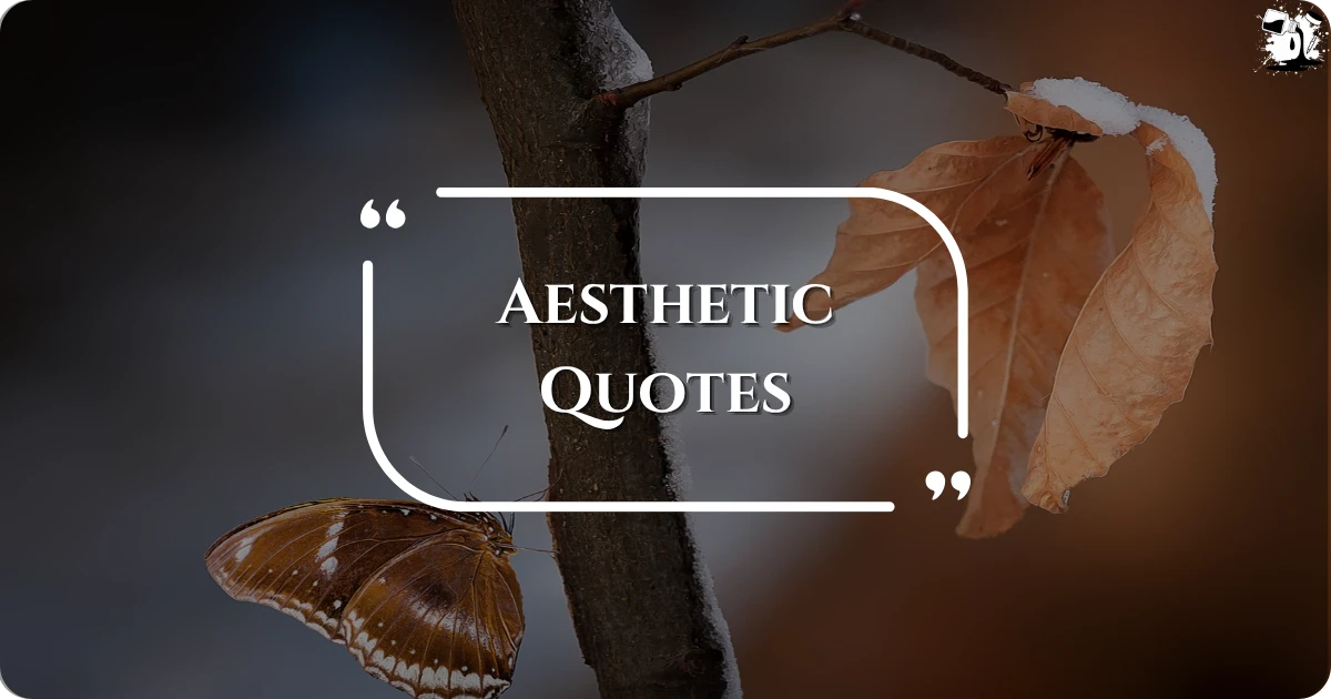 aesthetic-quotes